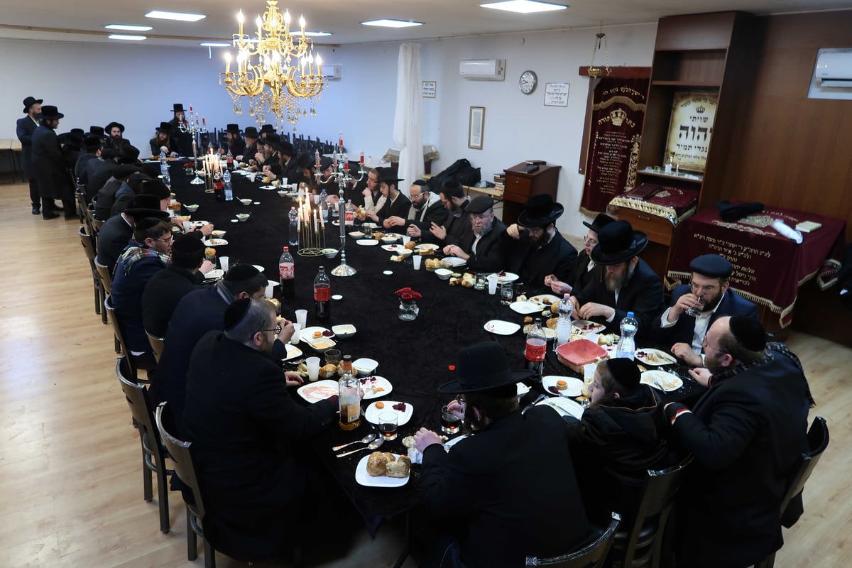 מסע הקודש של האדמו"ר מקאליב להונגריה | צפו