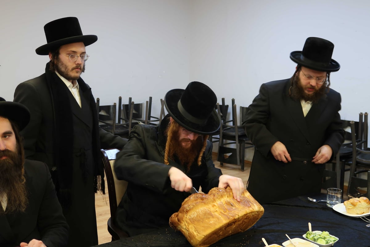 מסע הקודש של האדמו"ר מקאליב להונגריה | צפו