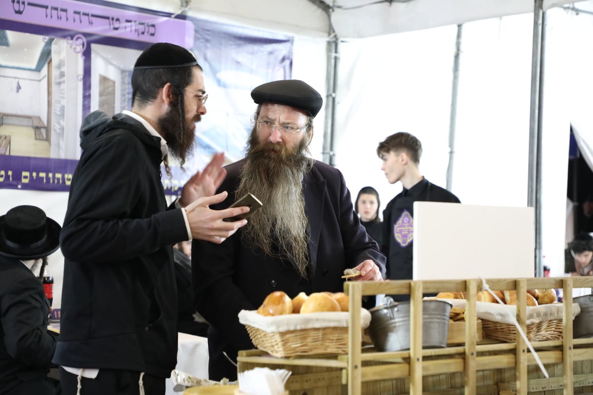 תיעוד מיוחד: המסע לליז'נסק ליום ההילולא של רבי אלמלך