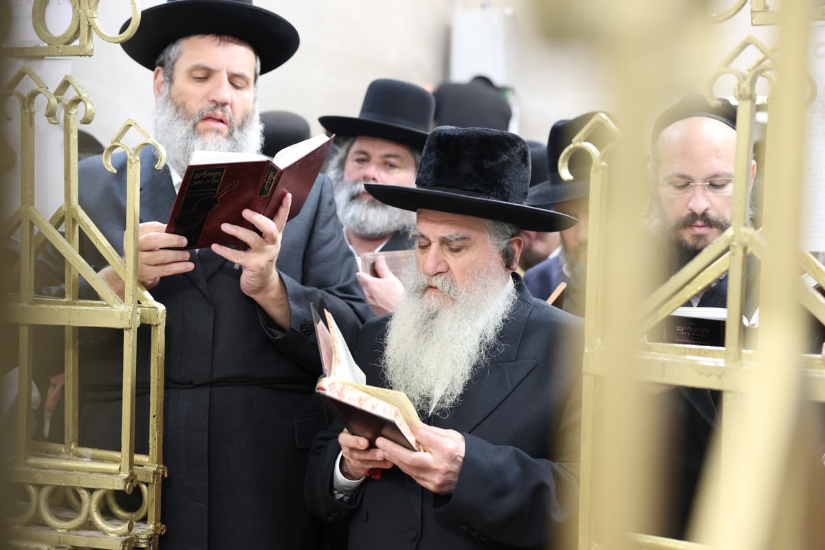 תיעוד מסכם מהילולת רבי אלימלך מליז'ענסק זי"ע | וידאו ותמונות