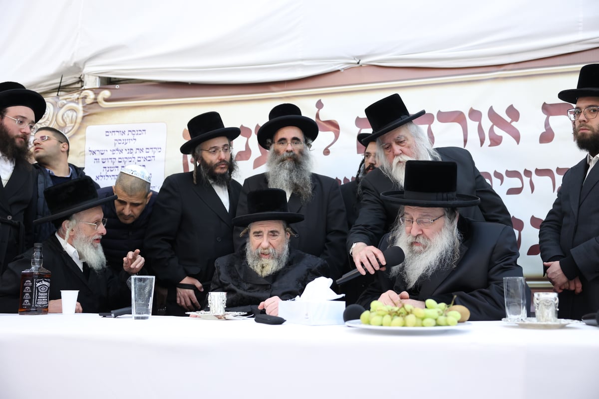 תיעוד מסכם מהילולת רבי אלימלך מליז'ענסק זי"ע | וידאו ותמונות