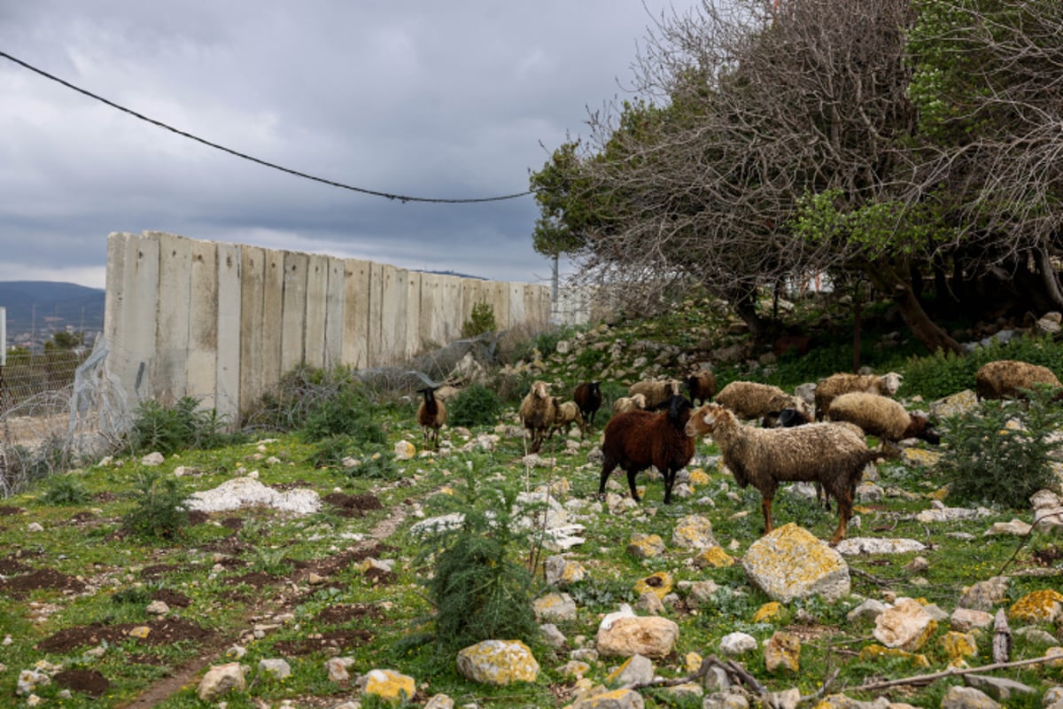 ברקע האירוע הביטחוני: סיור מצולם בגבול עם לבנון