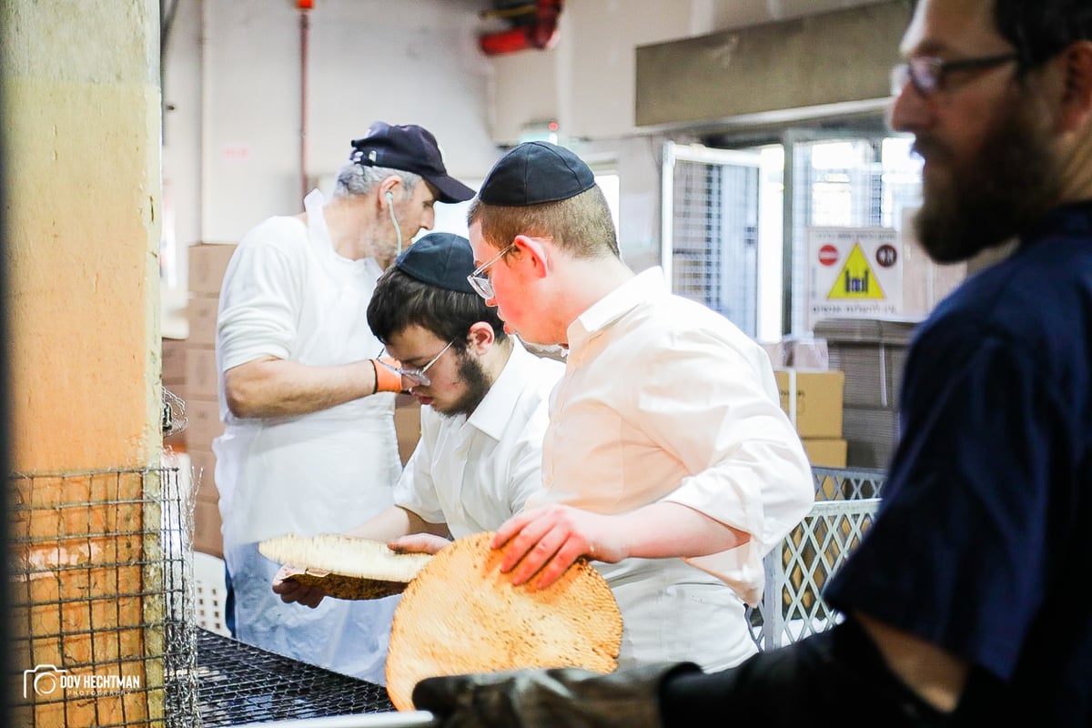 76 תמונות, מאפיה אחת: כך אופים מצות בכפר חב"ד