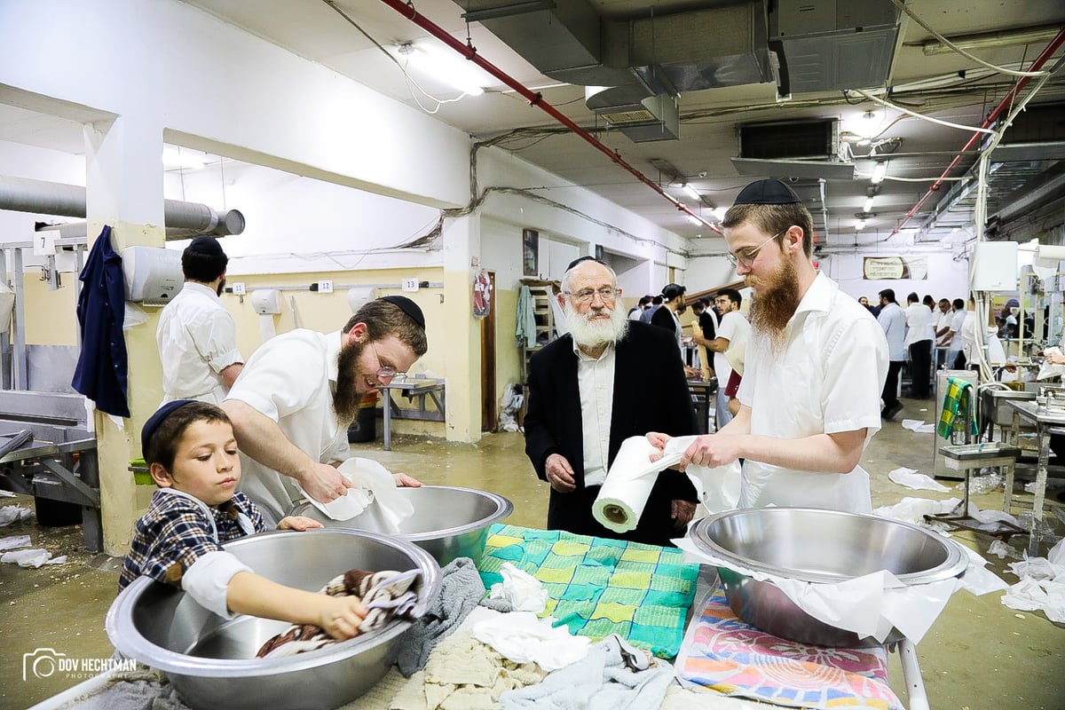 76 תמונות, מאפיה אחת: כך אופים מצות בכפר חב"ד