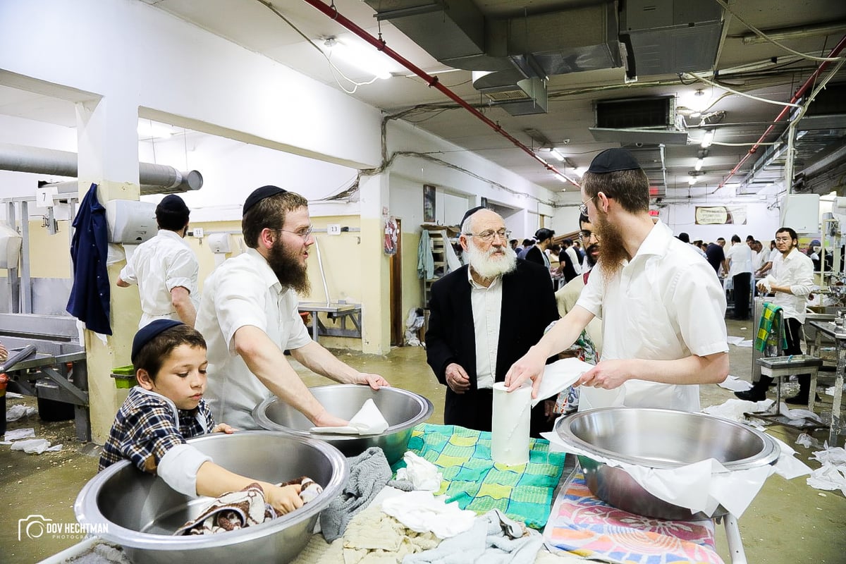 76 תמונות, מאפיה אחת: כך אופים מצות בכפר חב"ד