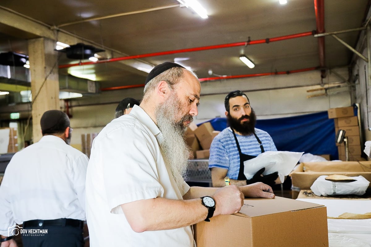 76 תמונות, מאפיה אחת: כך אופים מצות בכפר חב"ד