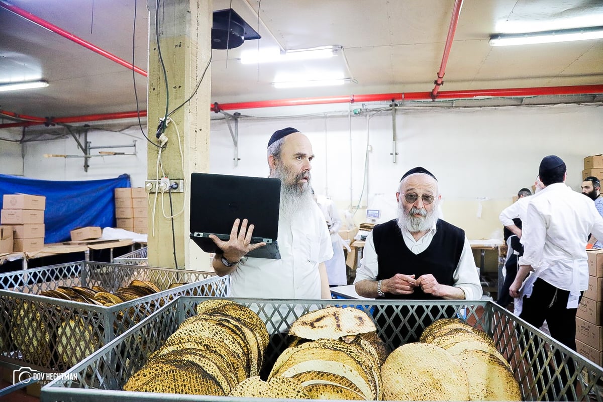 76 תמונות, מאפיה אחת: כך אופים מצות בכפר חב"ד