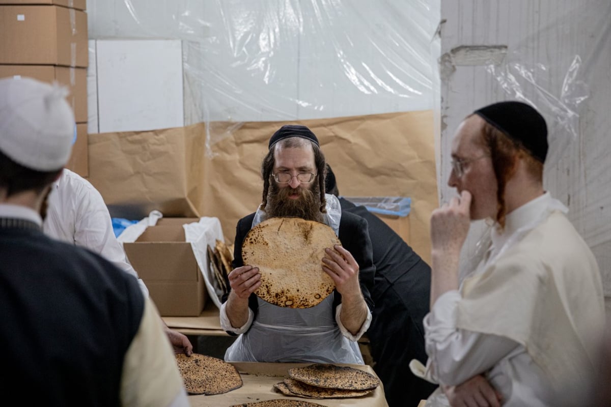 רידוד, לישה, חירור: תיעוד מרהיב ממאפיית המצות בירושלים