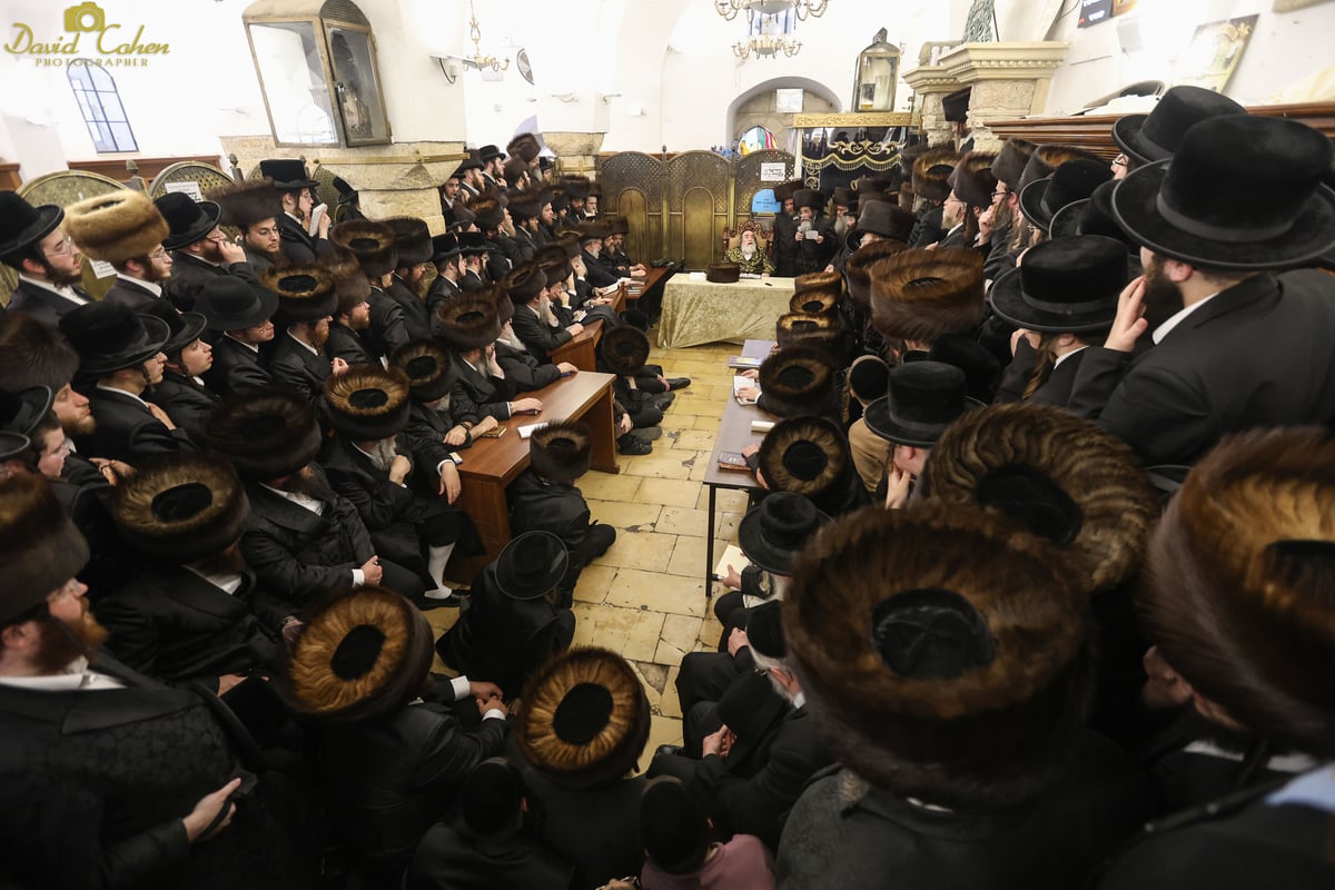 האדמו"ר מויז'ניץ שהה בשבת במירון עם עשרות נדיבים