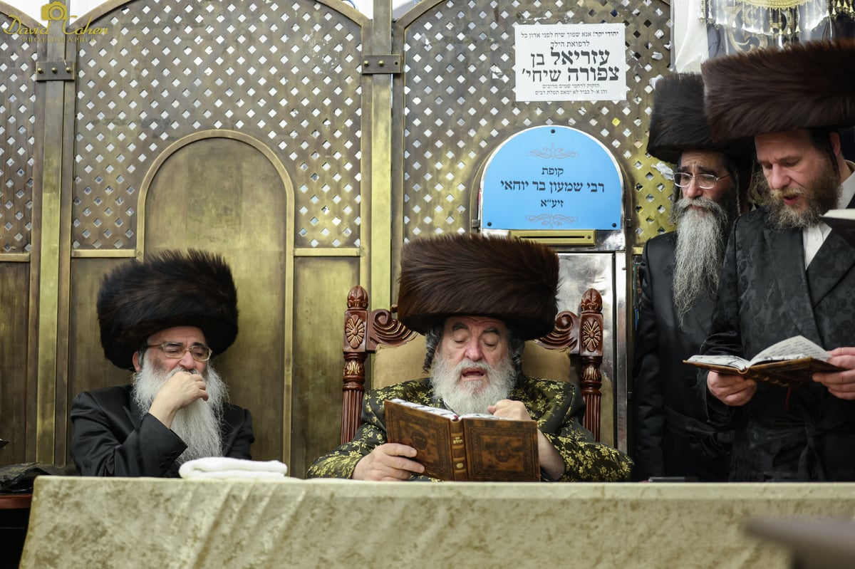 האדמו"ר מויז'ניץ שהה בשבת במירון עם עשרות נדיבים