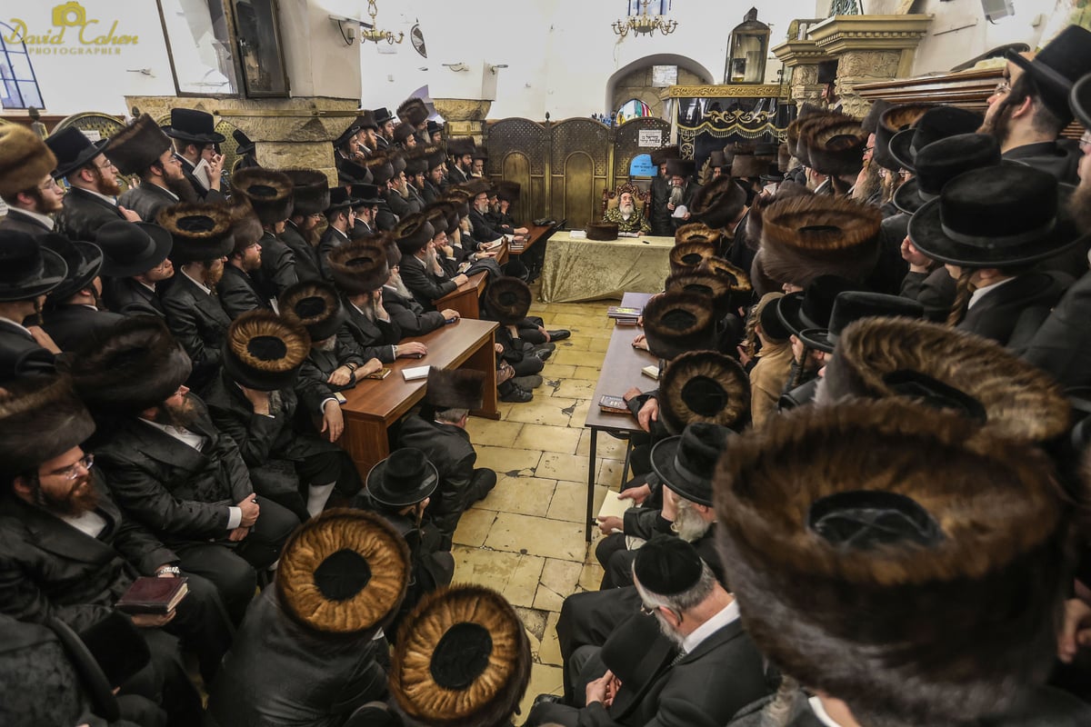 האדמו"ר מויז'ניץ שהה בשבת במירון עם עשרות נדיבים