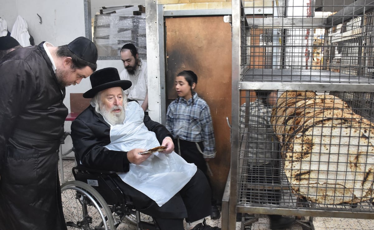 האדמו"ר מטשחויב באפיית מצות בבני ברק | תיעוד