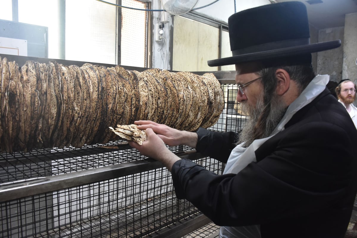 האדמו"ר מטשחויב באפיית מצות בבני ברק | תיעוד