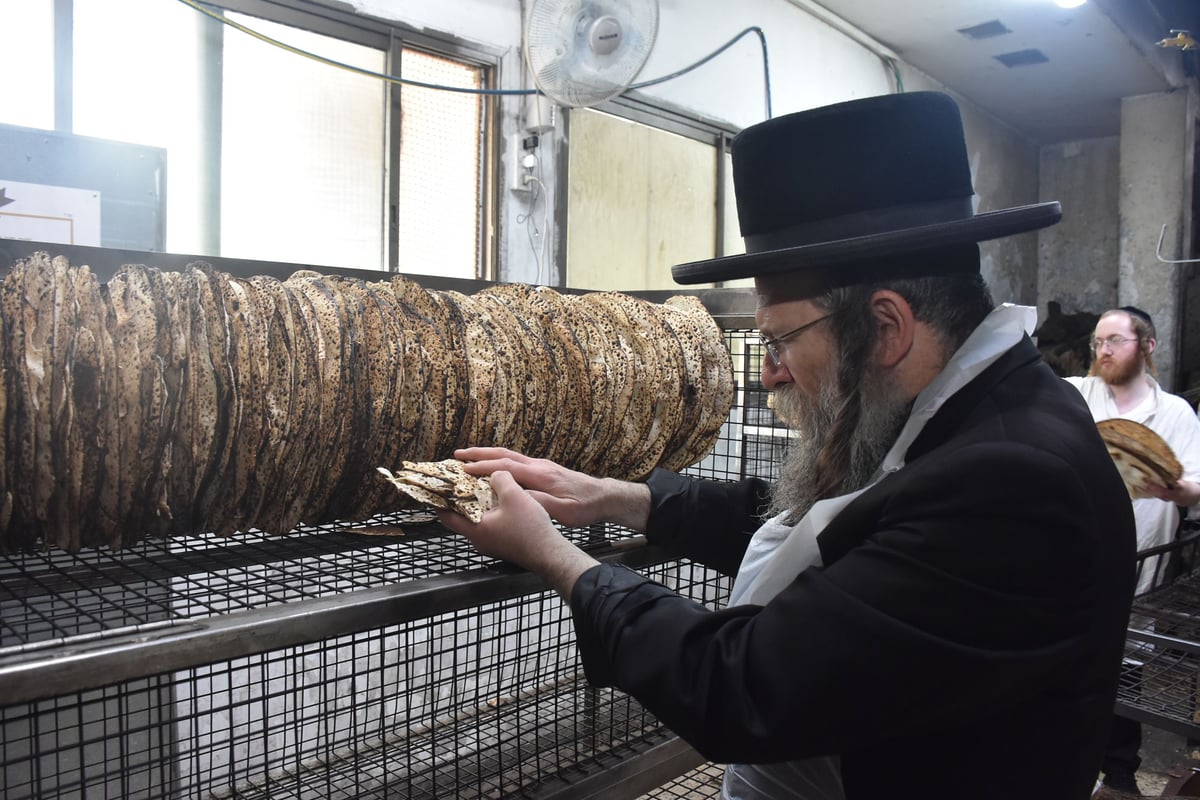 האדמו"ר מטשחויב באפיית מצות בבני ברק | תיעוד