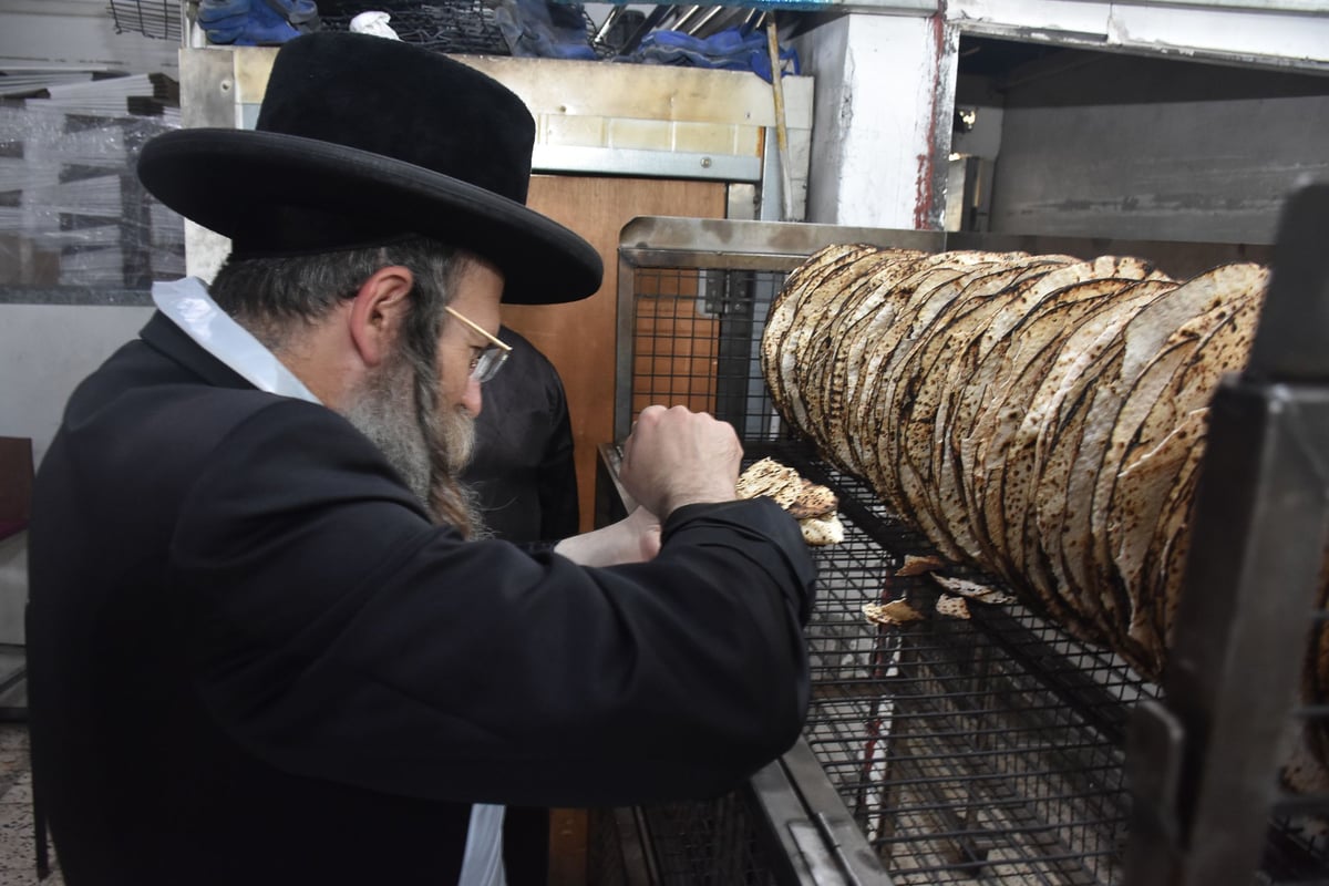 האדמו"ר מטשחויב באפיית מצות בבני ברק | תיעוד