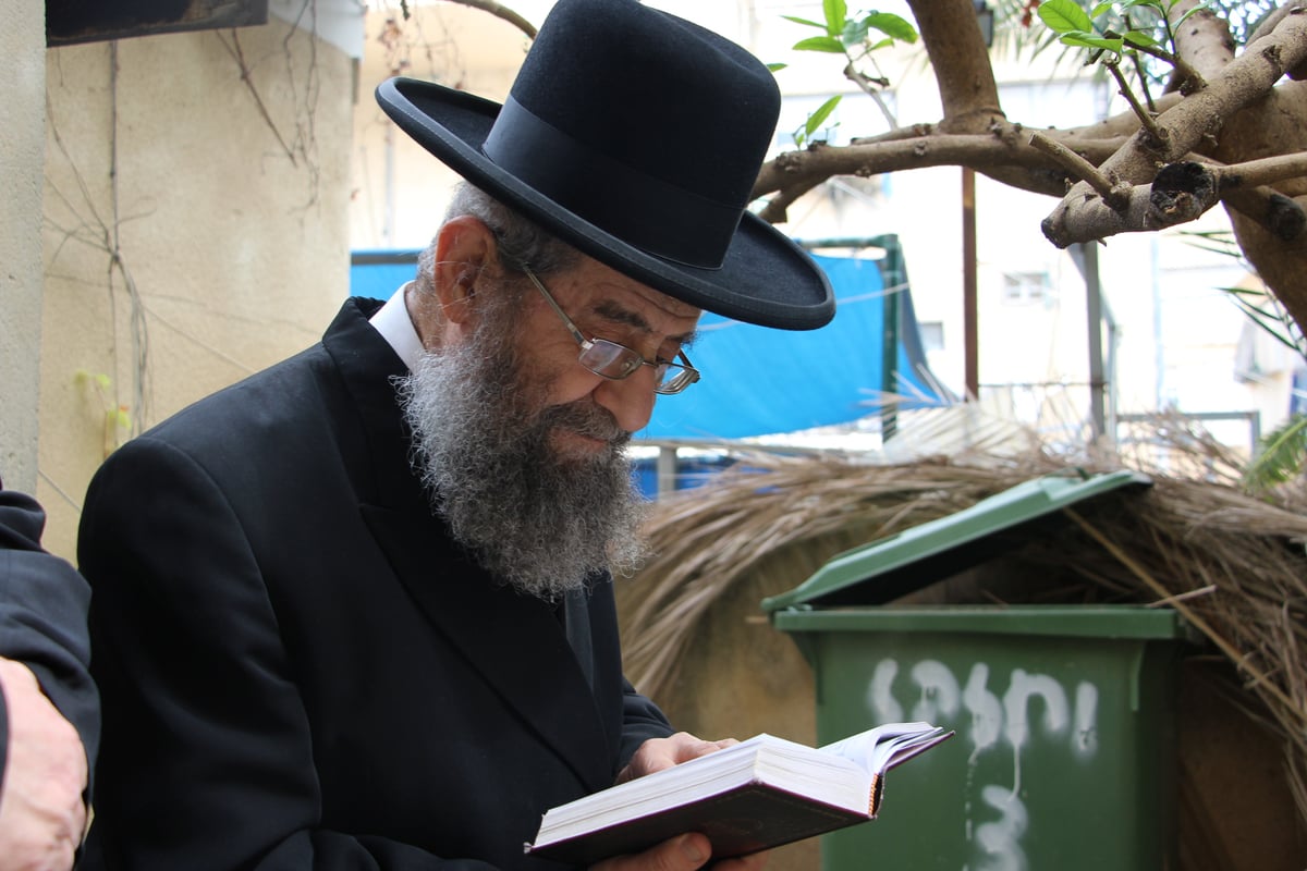 שלושת רבני בני ברק בירכו יחד ברכת האילנות | תיעוד