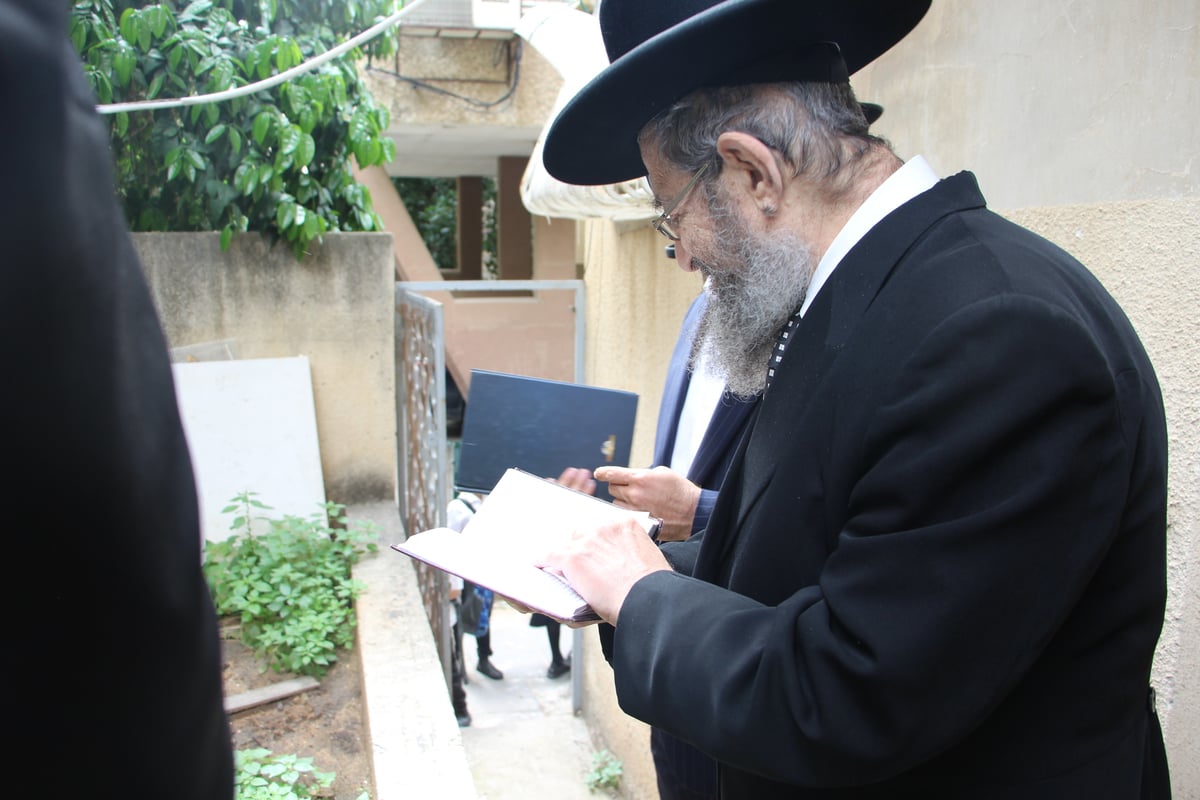 שלושת רבני בני ברק בירכו יחד ברכת האילנות | תיעוד