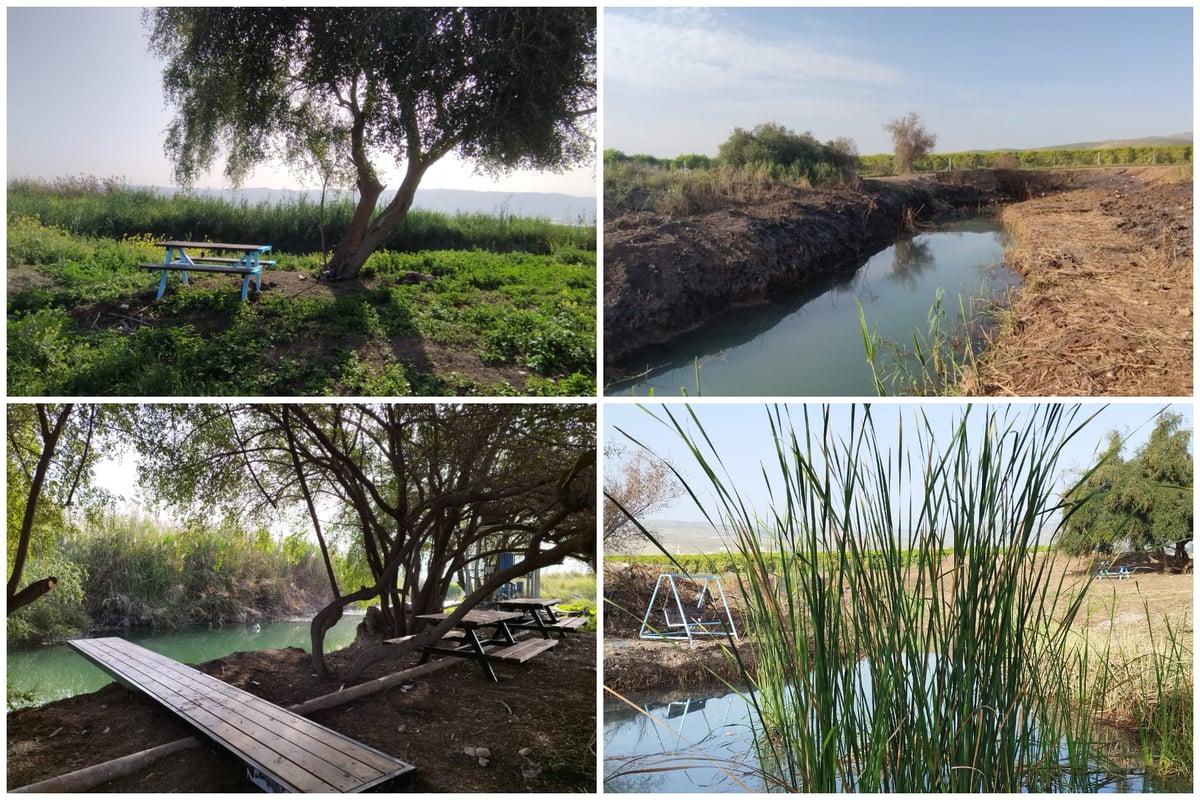 נדיר: חמישה מעיינות נסתרים נחשפים לציבור בבקעת הירדן