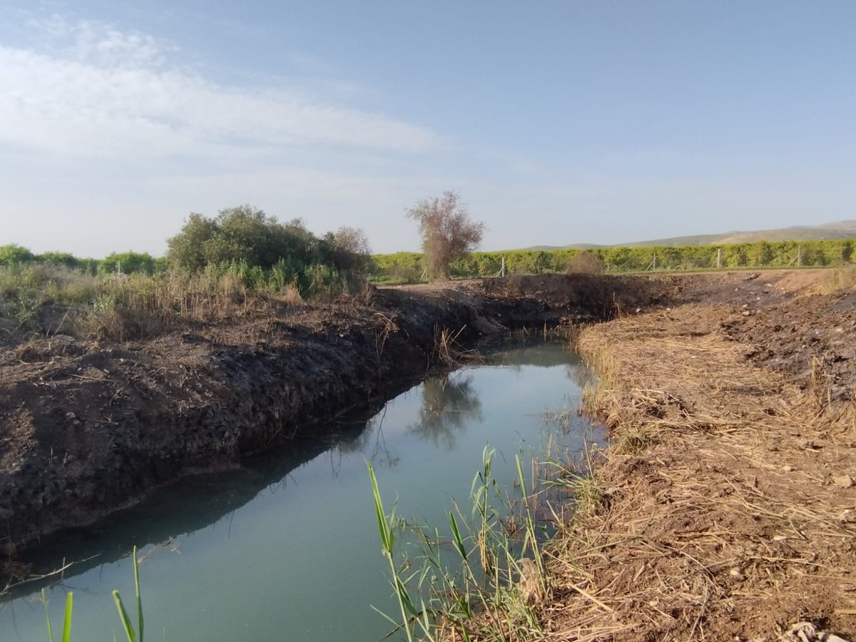 נדיר: חמישה מעיינות נסתרים נחשפים לציבור בבקעת הירדן