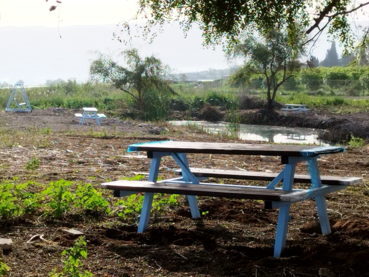 נדיר: חמישה מעיינות נסתרים נחשפים לציבור בבקעת הירדן