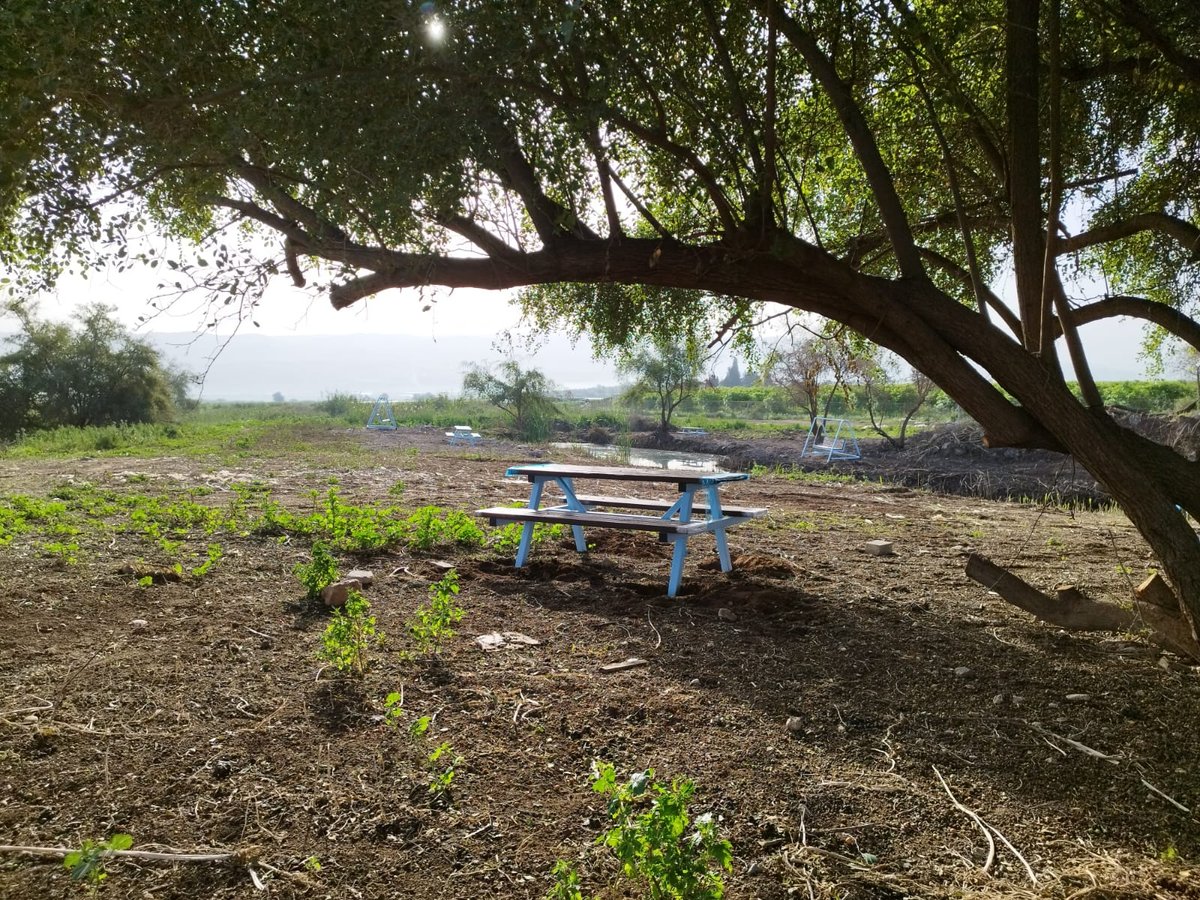 נדיר: חמישה מעיינות נסתרים נחשפים לציבור בבקעת הירדן