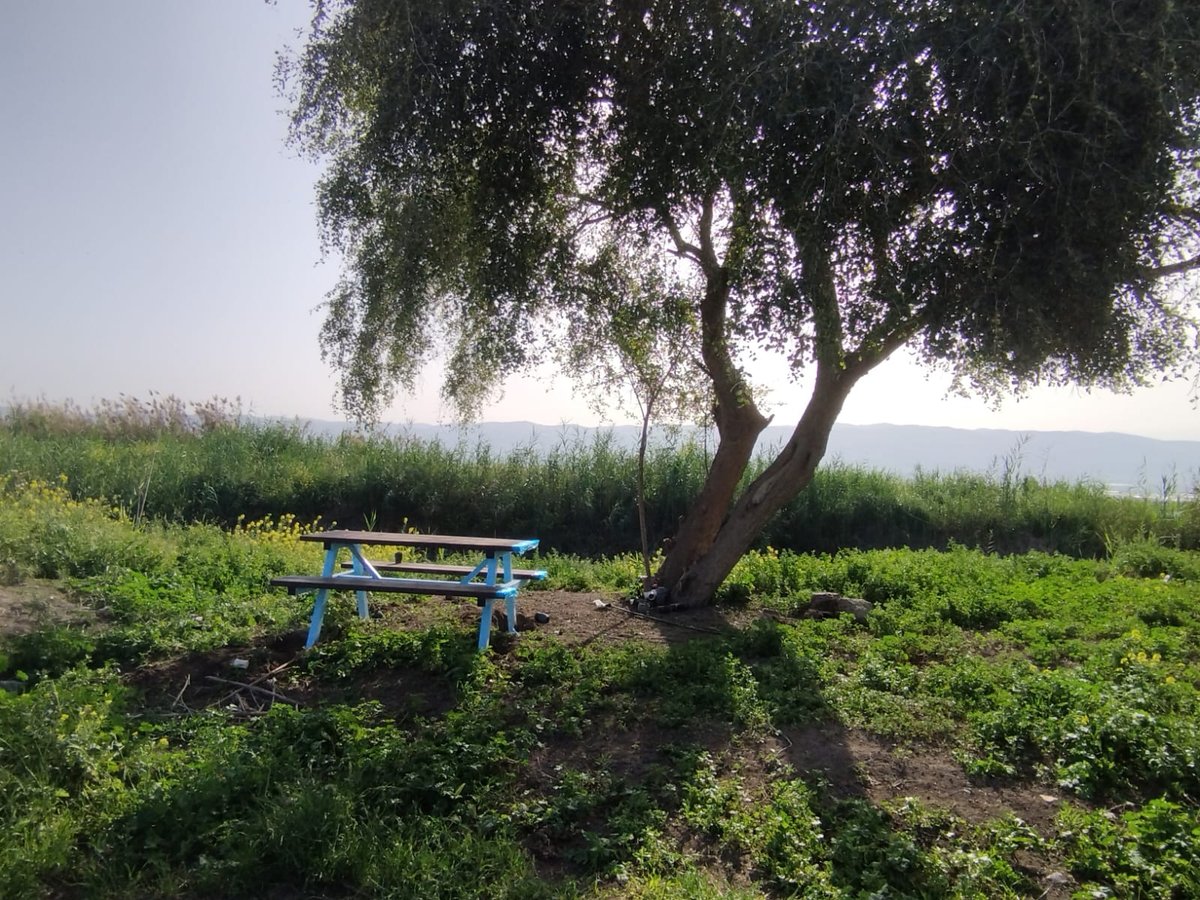 נדיר: חמישה מעיינות נסתרים נחשפים לציבור בבקעת הירדן