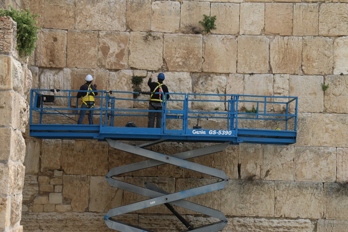 כך מנקים את 'שריד בית מקדשנו' לפני חג הפסח | תיעוד