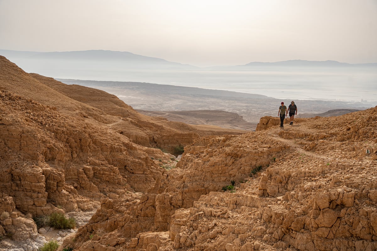 תיעוד מרהיב: ישראלים מטיילים בנחל אשלים