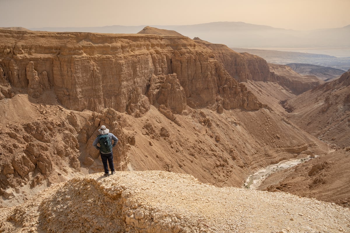 תיעוד מרהיב: ישראלים מטיילים בנחל אשלים