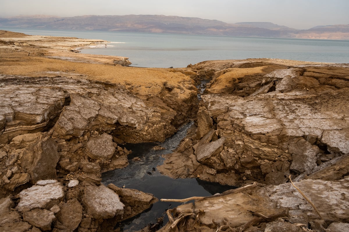 תיעוד מרהיב: ים המלח ותצורות המלח על החוף