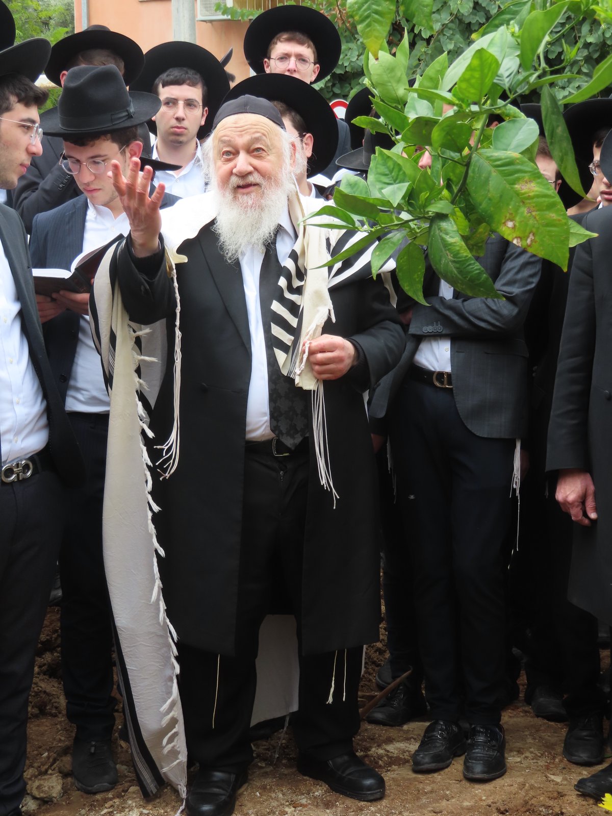 עם בחורים ותושבי המקום: חבר 'המועצת' ערך 'ברכת האילנות'