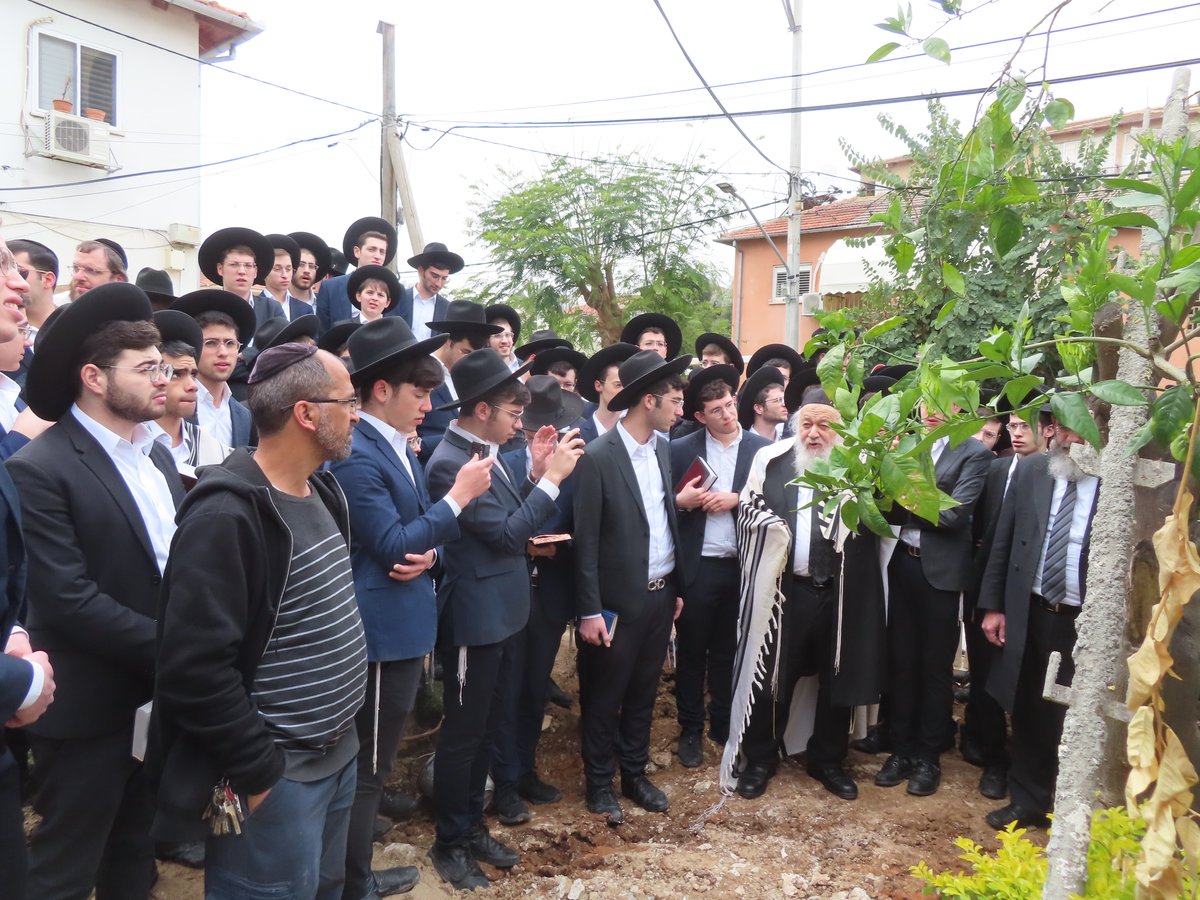 עם בחורים ותושבי המקום: חבר 'המועצת' ערך 'ברכת האילנות'