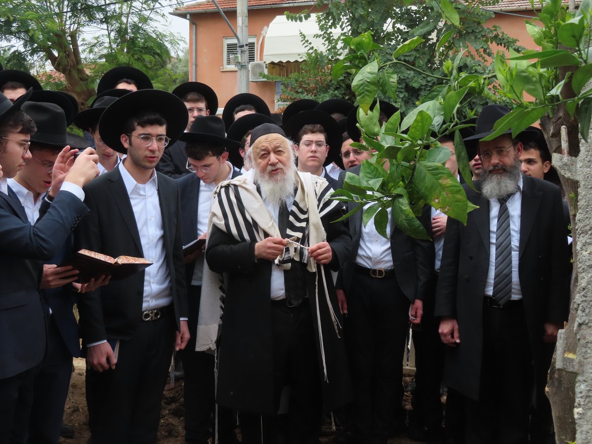 עם בחורים ותושבי המקום: חבר 'המועצת' ערך 'ברכת האילנות'