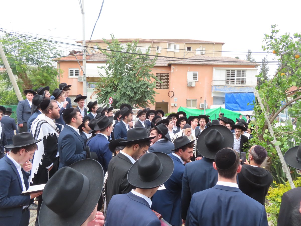 עם בחורים ותושבי המקום: חבר 'המועצת' ערך 'ברכת האילנות'