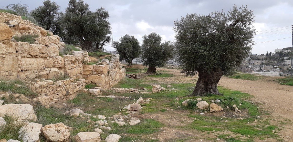 חול המועד בתל חברון: הפעילות המושלמת לכל המשפחה