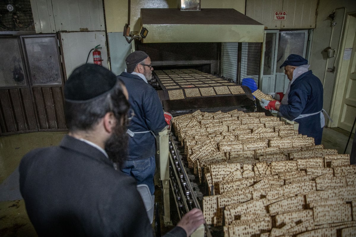 שלב אחר שלב: צלם 'כיכר' תיעד את שלבי הכנת מצות מכונה