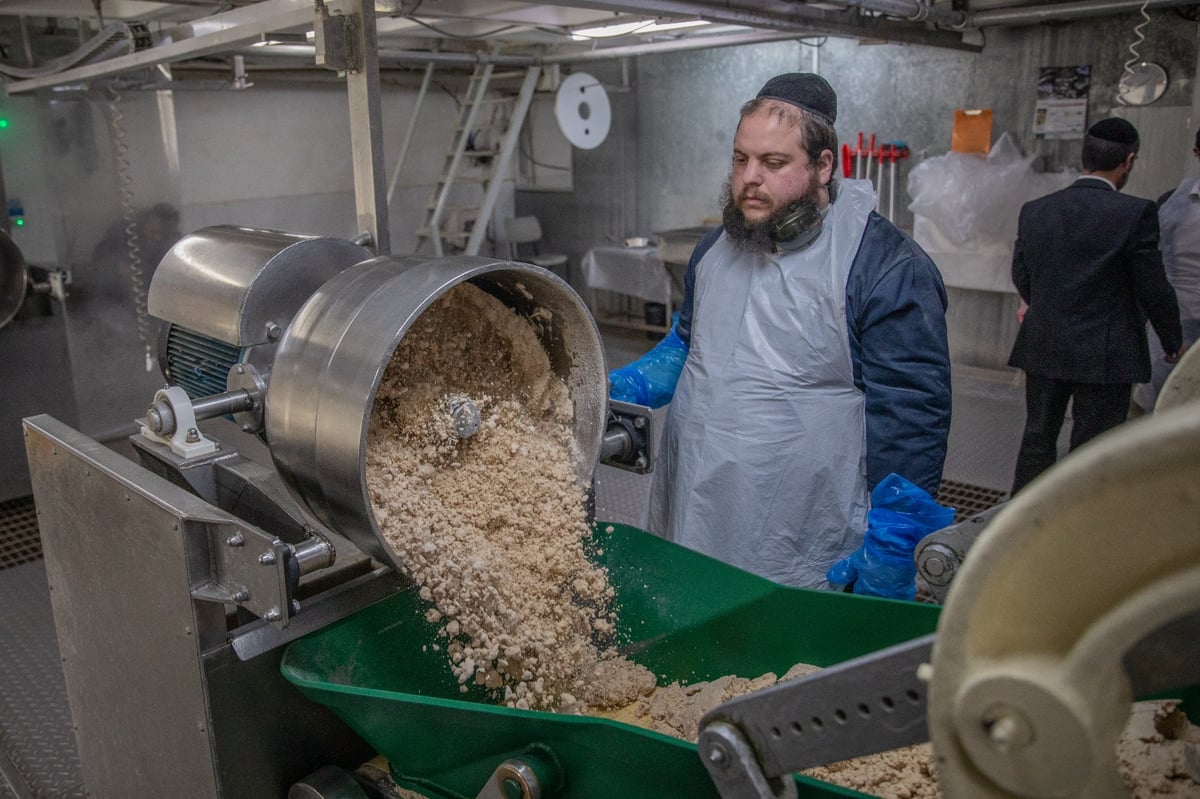 שלב אחר שלב: צלם 'כיכר' תיעד את שלבי הכנת מצות מכונה