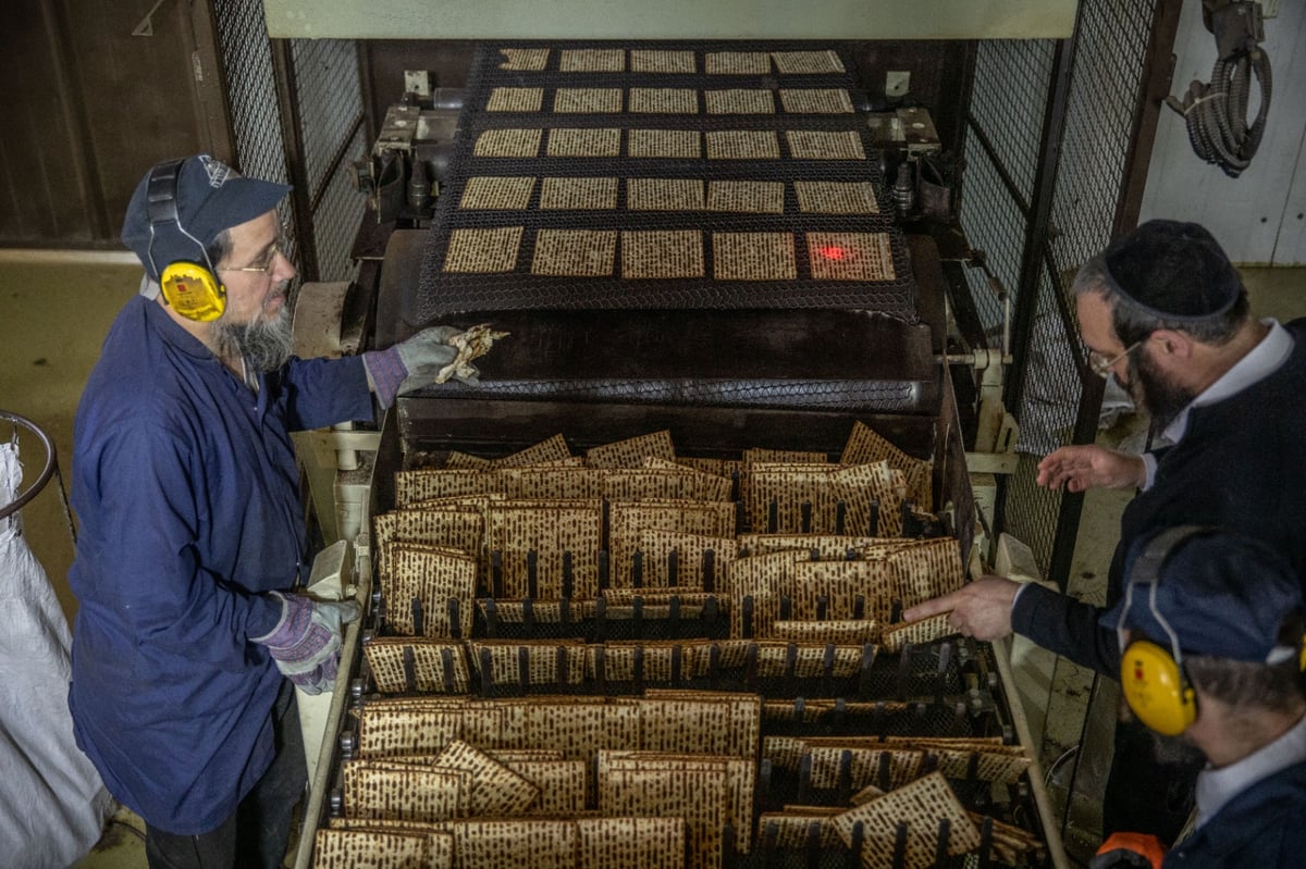 שלב אחר שלב: צלם 'כיכר' תיעד את שלבי הכנת מצות מכונה