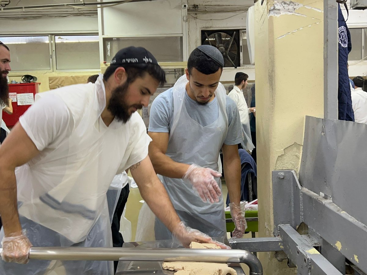 זופניק בכיכר • כל התמונות והנייעס של השבוע