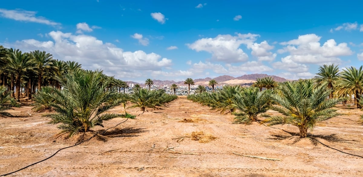 שינוי חד במזג האוויר: בהמשך השבוע חום - ואז גשם ורוח