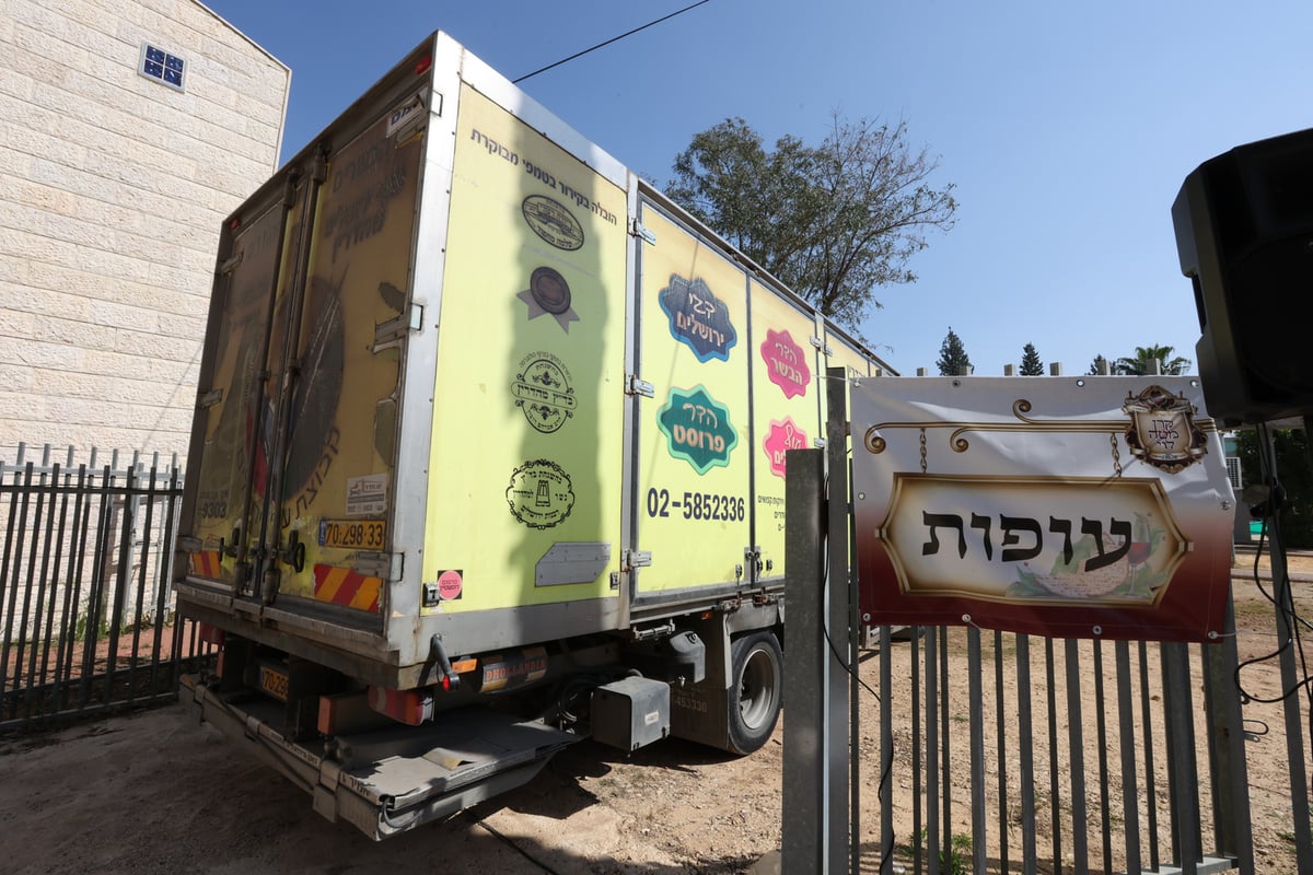 הגר"א עפג'ין חילק אלפי סלי מזון למשפחות לקראת החג • גלריה