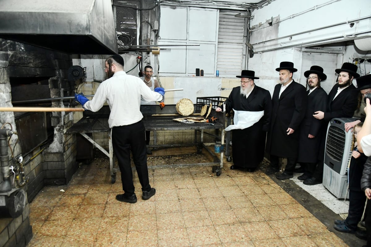 לכבוד פסח: האדמו"ר מסאסוב באפיית מצות 