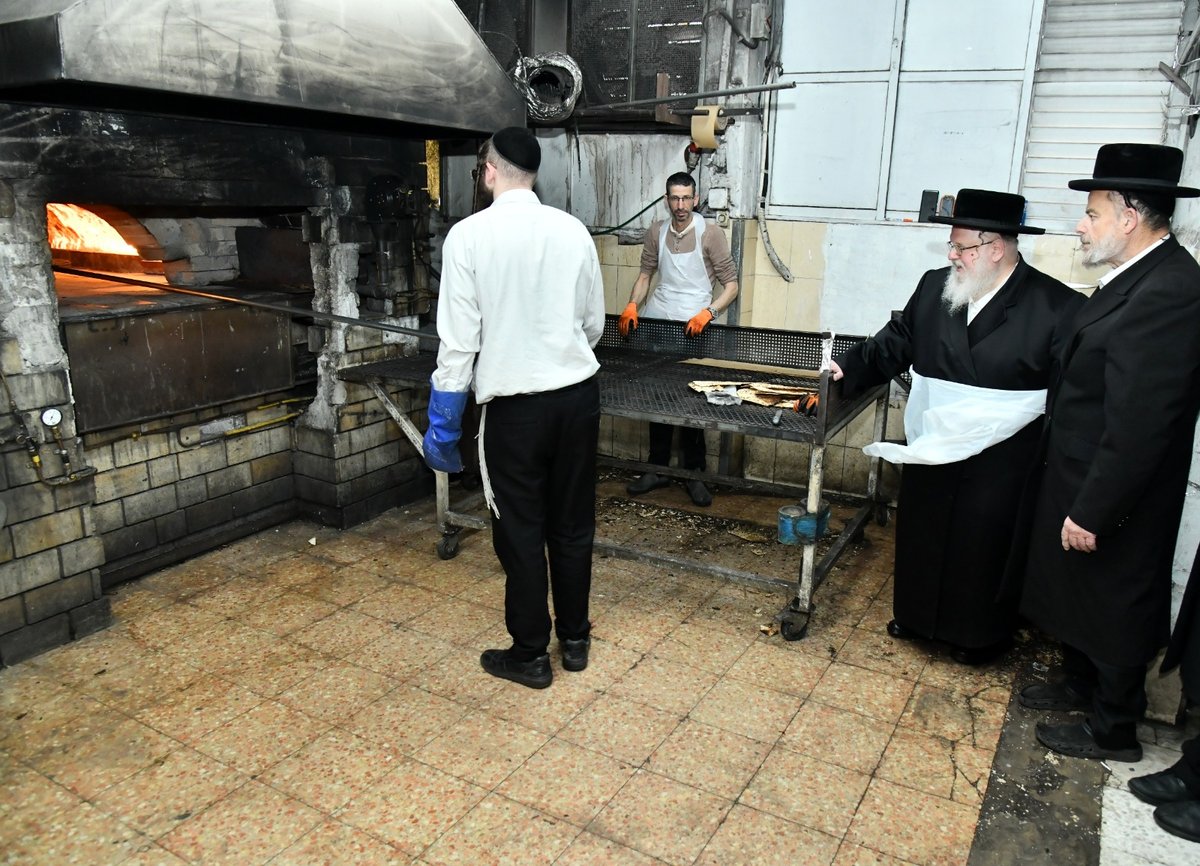 לכבוד פסח: האדמו"ר מסאסוב באפיית מצות 