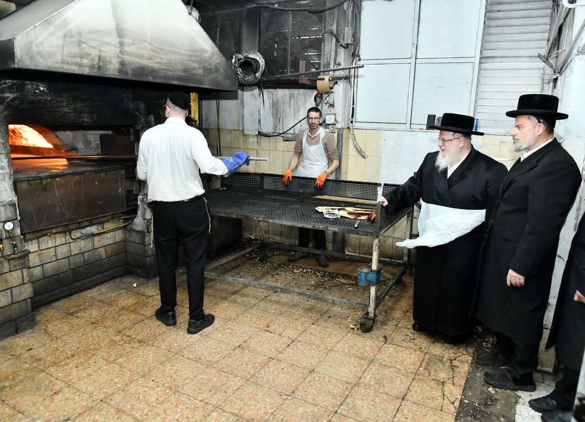 לכבוד פסח: האדמו"ר מסאסוב באפיית מצות 