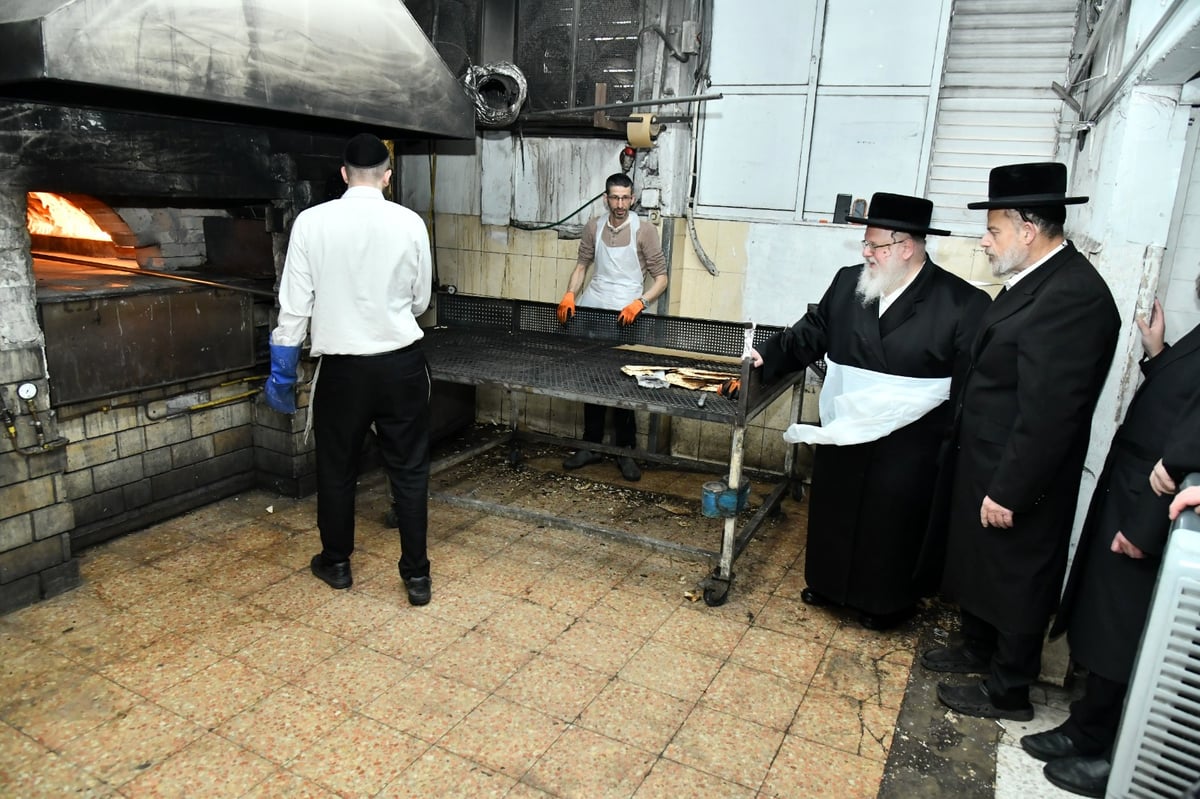 לכבוד פסח: האדמו"ר מסאסוב באפיית מצות 