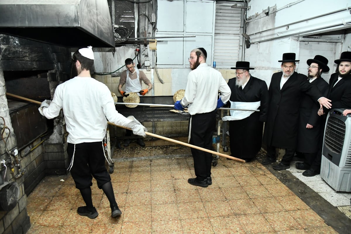 לכבוד פסח: האדמו"ר מסאסוב באפיית מצות 