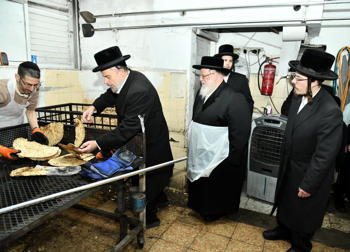 לכבוד פסח: האדמו"ר מסאסוב באפיית מצות 