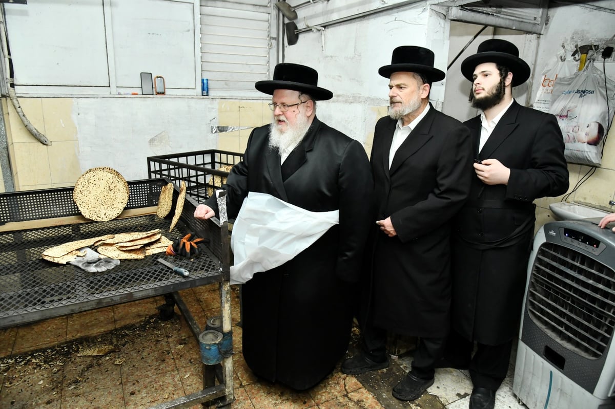 לכבוד פסח: האדמו"ר מסאסוב באפיית מצות 