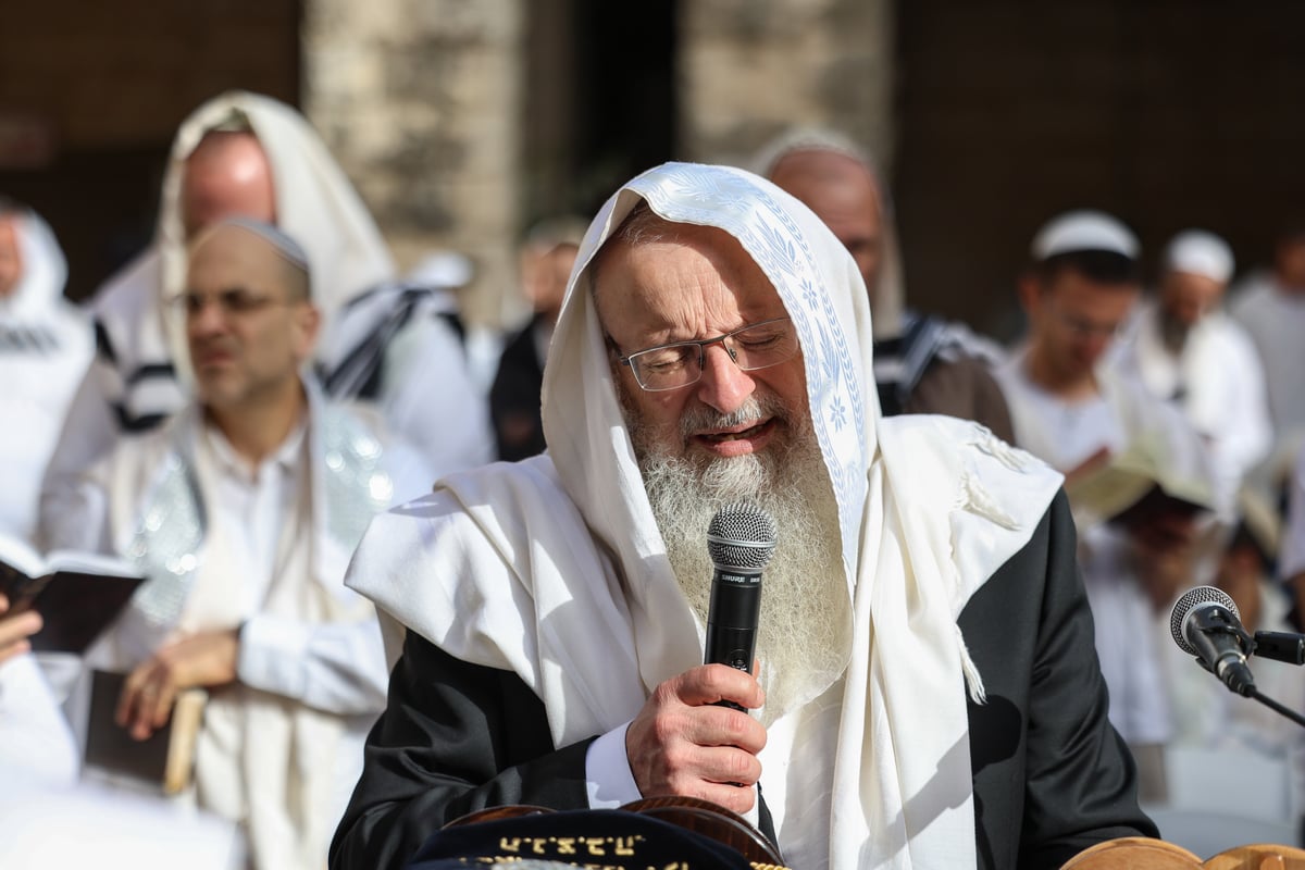 המונים בתפילת הלל חגיגית בעיר העתיקה בצפת | גלריה מיוחדת