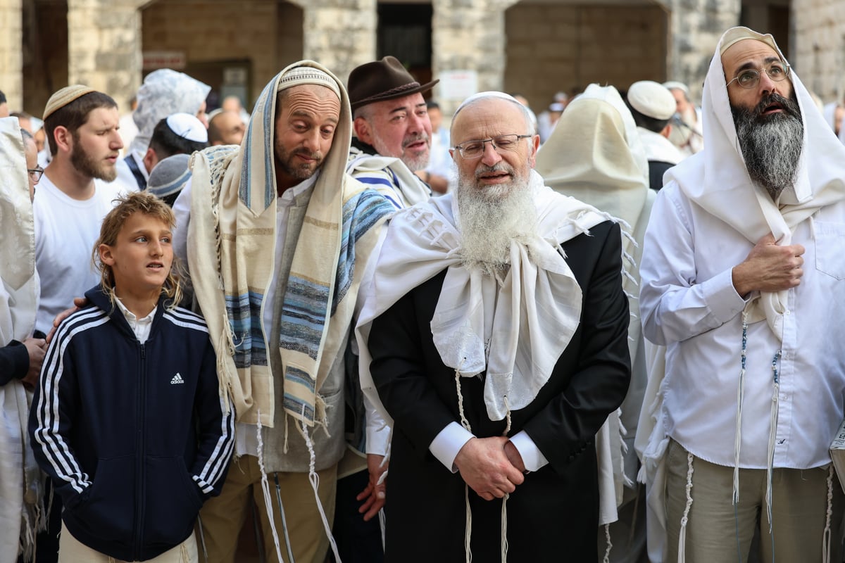 המונים בתפילת הלל חגיגית בעיר העתיקה בצפת | גלריה מיוחדת